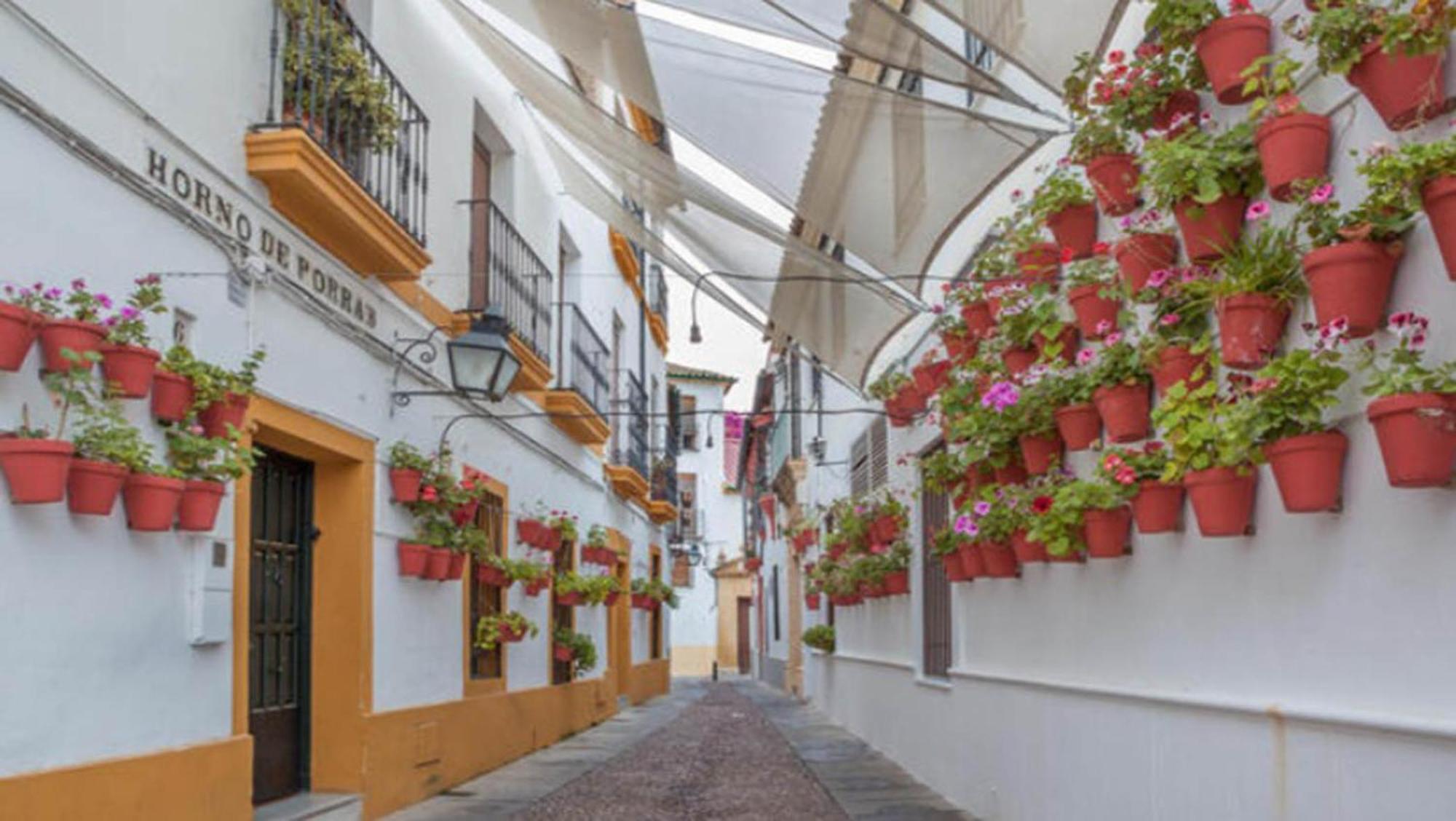 Zahra - Terraza Centro Cordobaアパートメント エクステリア 写真